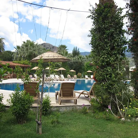 Asur & Asur 3* Дальян