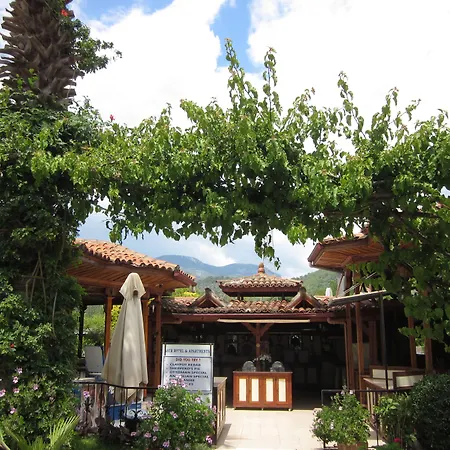 Отель Asur & Asur