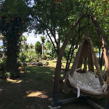 Asur & Asur Дальян