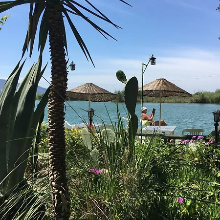 Asur & Asur 3* ダルヤン