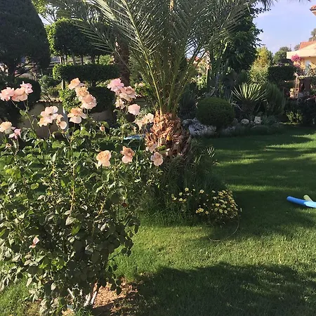 Hotel Asur & Aparts & Villas