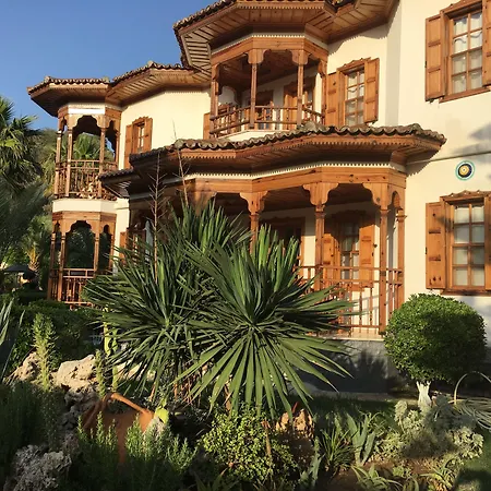 Asur & Asur داليان