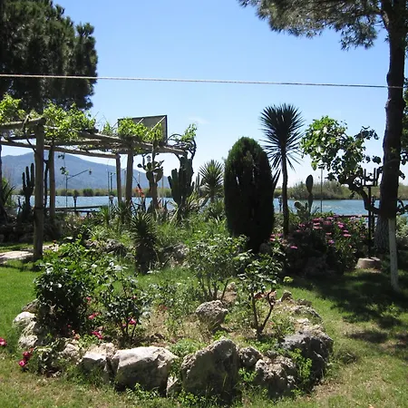 Asur & Asur داليان